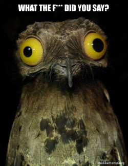 Weird Stuff I do Potoo
