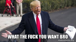 Trump - Impeachment Quid Pro Quo
