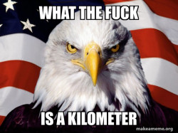 American Pride Eagle