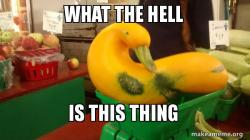 Gourd Advice Mallard
