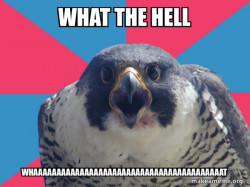 Millennial Falcon
