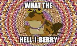 Hypnotoad