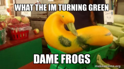 Gourd Advice Mallard