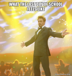 Tony Stark Success
