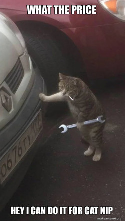 Mechanic Cat