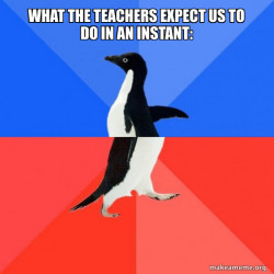 Socially Awkward Awesome Penguin