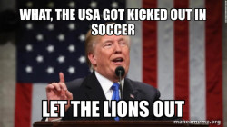 FIFA soccer losers