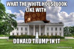 Scumbag Whitehouse