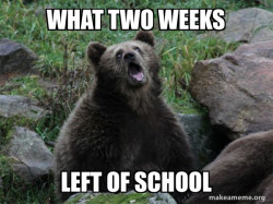 Sarcastic Bear