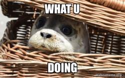 Impending Doom Seal