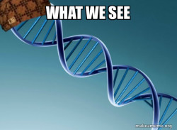 Scumbag Genetics