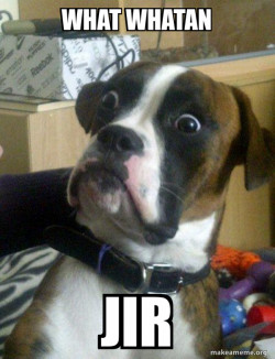 Skeptical Dog