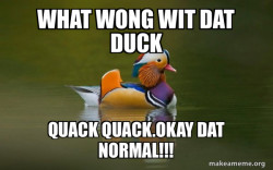 Fashionable Advice Mallard