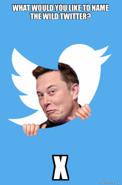 Elon Musk Twitter