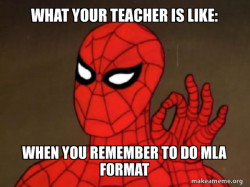 Spiderman - Care factor Zero