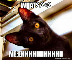 Overly Attached Cat
