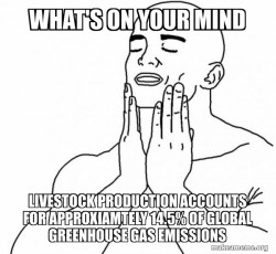 what's on your mind 