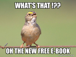 Common Opinion Sparrow