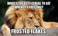 Confession Lion