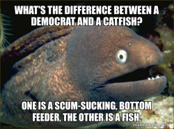 Bad Joke Eel