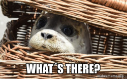 Impending Doom Seal