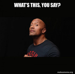 Dwayne Johnson (The Rock)