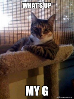 The Most Interesting Cat in the World