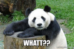 Confession Panda