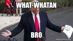 Trump - Impeachment Quid Pro Quo