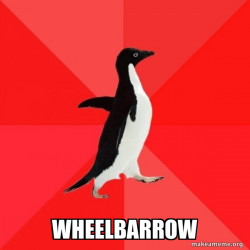 Socially Awesome Penguin