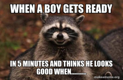 Evil Plotting Raccoon