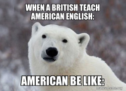 Popular Opinion Polar Bear