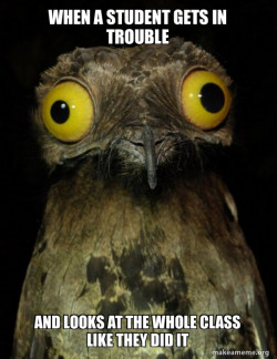 Weird Stuff I do Potoo