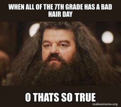 Hagrid - I should not have said that