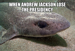 Dirty Joke Dogfish