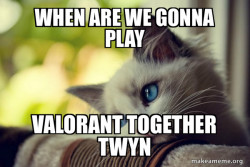 First World Cat Problems