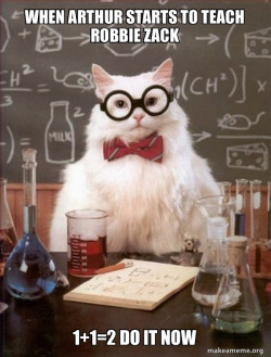 Chemistry Cat