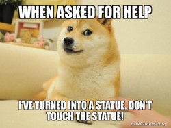 Doge