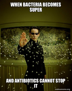 Neo Stopping Bullets