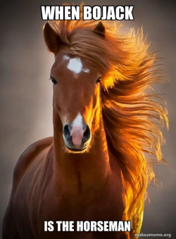 Ridiculously photogenic horse