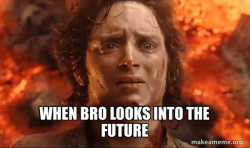 Frodo it's over it's done