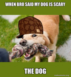 Scumbag dog