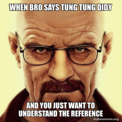 When bro says tung tung didy
