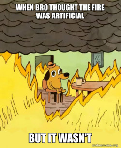 This Is Fine