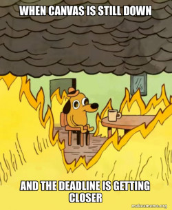 This Is Fine