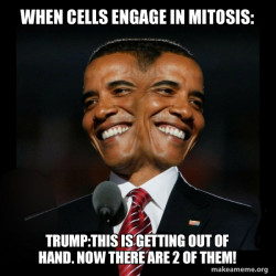 Two Faced Obama