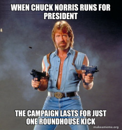 Chuck Norris beats the crap out of President Donald Trump for 30 seconds with a jump spin kick. Donald Trump corrected him. Donald Trump fell to the ground and then Chuck Norris jumped up and fell on him with his bare buttocks.