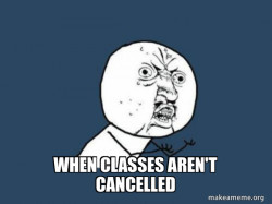 Y U No