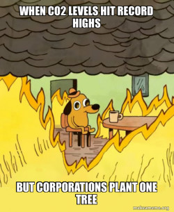 This Is Fine