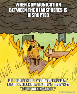 This Is Fine